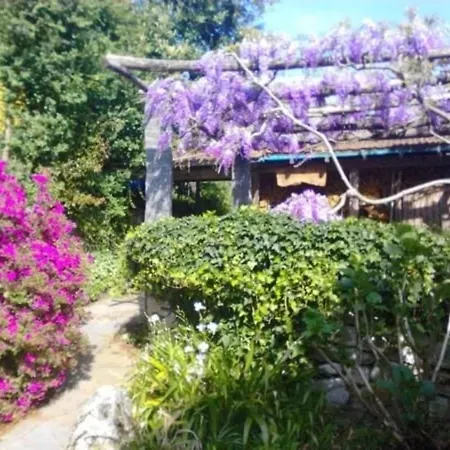 Casa Laura, Brione Sopra Minusio בית נופש Tenero-Contra